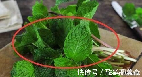 为什么有钱人家里都养这3种花听老师傅一说,才知作用这么大