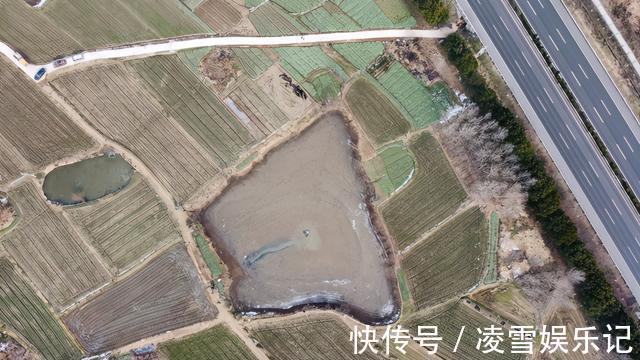 鱼塘|安徽老乡养鱼,两万元鱼苗投放进去,却被这群“大害鱼”吃个精光