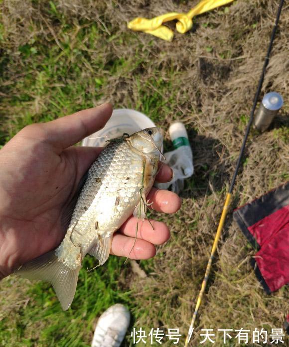 钓鱼遇到这几件事大概率会走空,虽然不科学但真的很常见