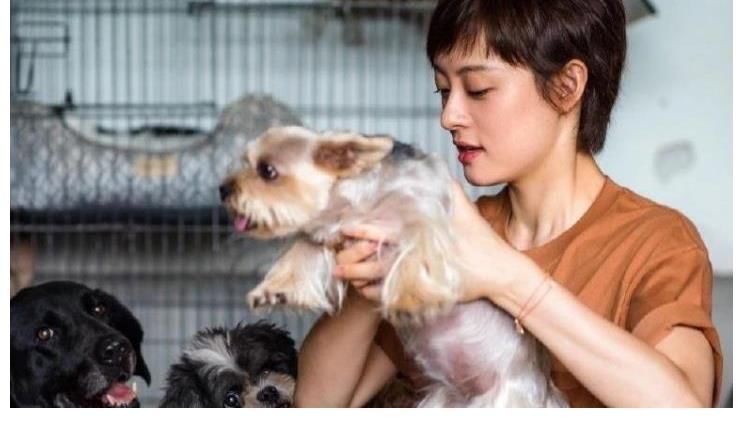 书法$孙俪晒儿子等等书法,调侃老妈胆子大,网友:一定是超哥指使的!