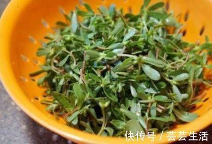 蔬菜|吃蔬菜就不会导致尿酸高?别再被误导了,这四种蔬菜越吃尿酸越高