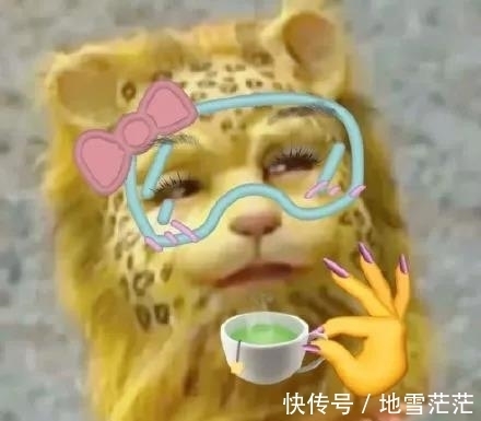 最近的朋友圈,跑进来一只豹子