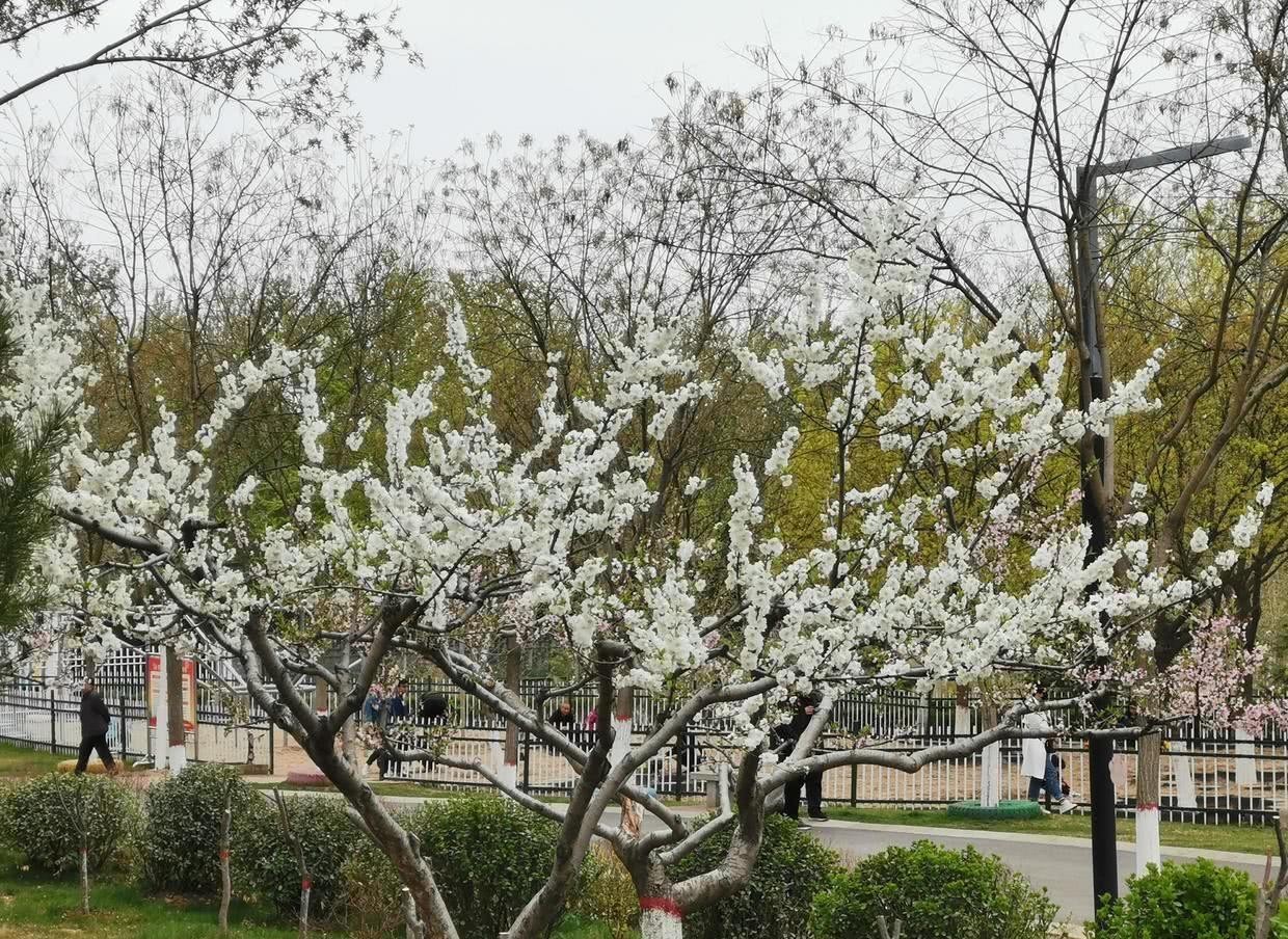 指责|曾国藩：面对别人的指责和议论，要做到有则改之，无则加勉