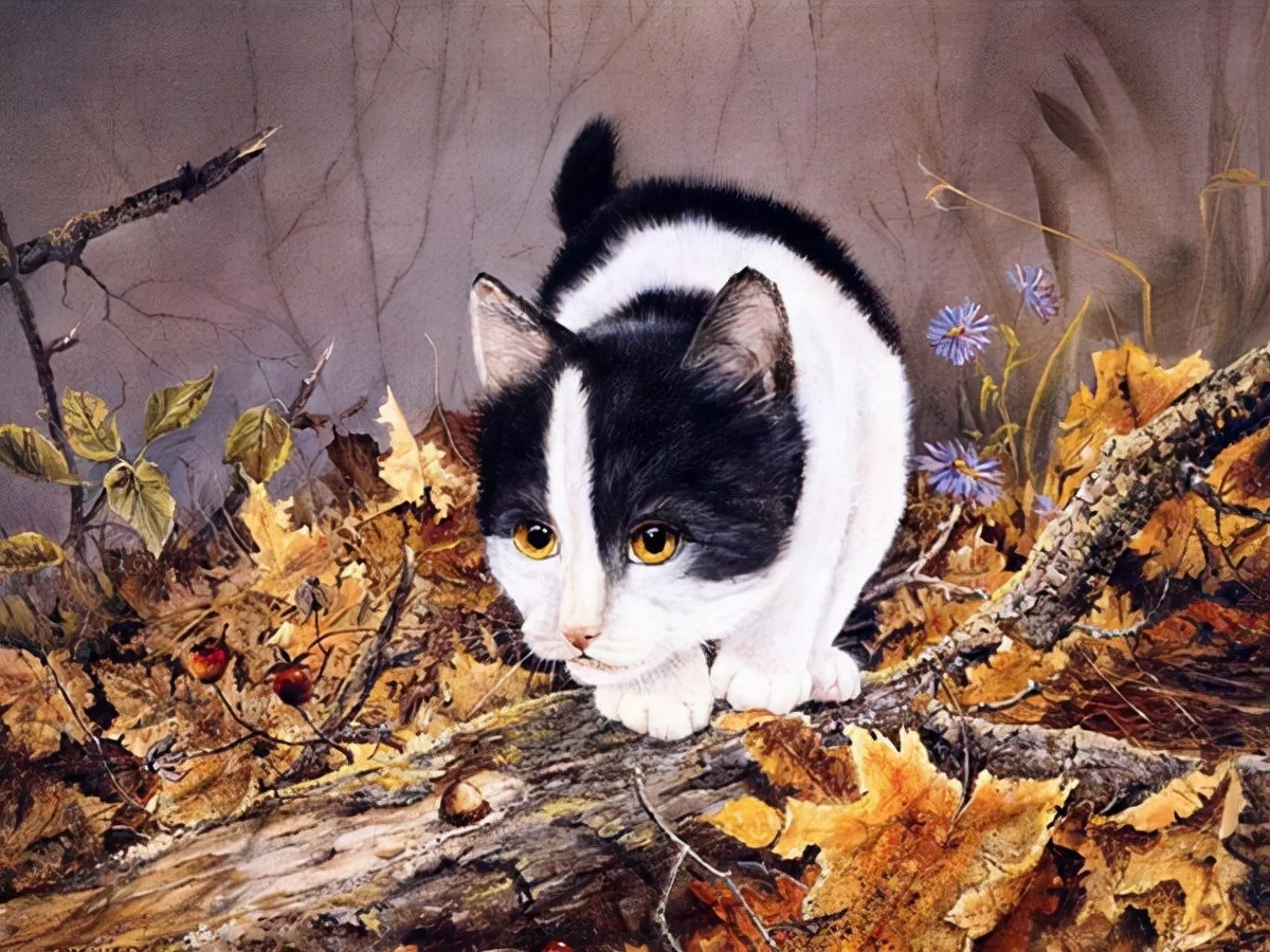 LUCIE@艺术家 LUCIE BILODEAU 画笔下的猫咪系列油画精致的实在太可爱了