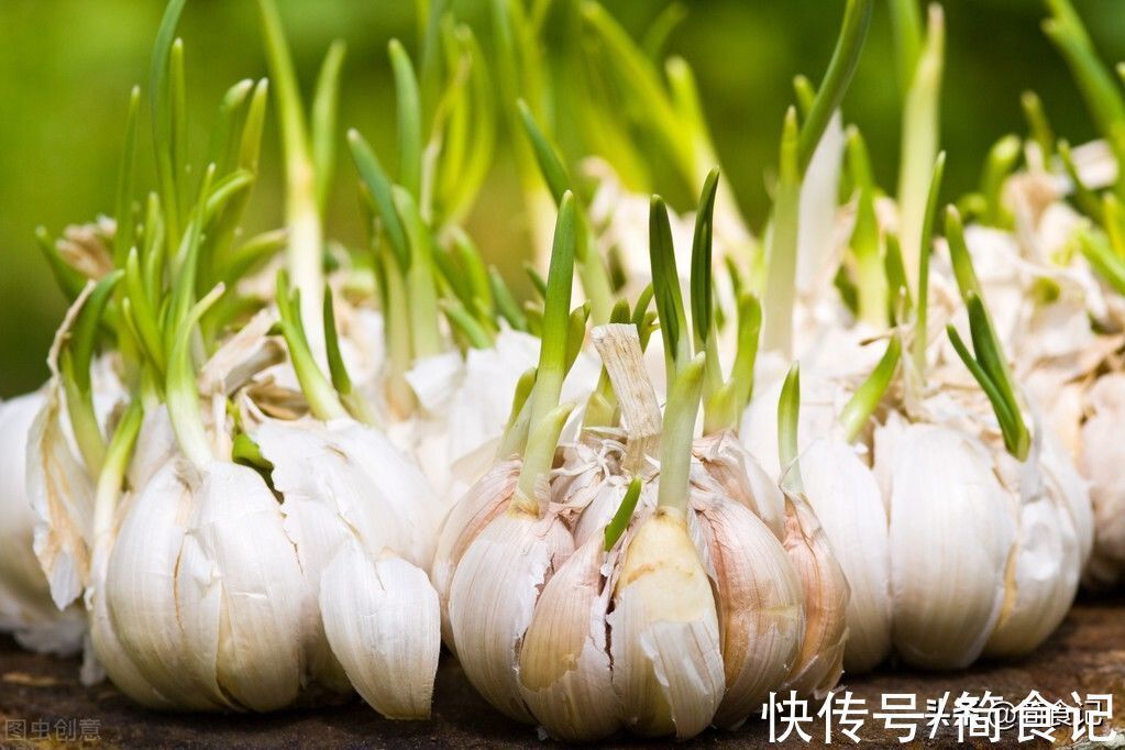 芋头|食物发芽后,还能不能吃?营养师:这7种不但能吃,有的还是宝藏