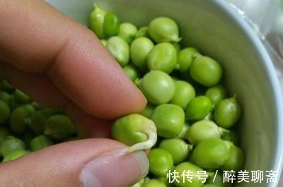 黄曲霉毒素|别扔!这3种食物发芽了不仅没毒,营养价值还翻倍