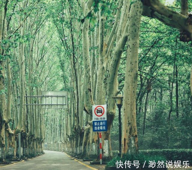 夜景|国内最“个性”城市，曾经改名44次之多，夜景绝美游客众多