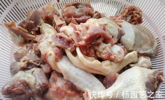 腥臭味|鸭子去腥别用姜,教你2招诀窍,鸭肉鲜香入味,好吃又无腥味