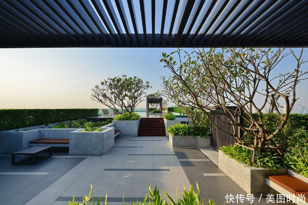 没院子,也可以在屋顶造园,将荒废屋顶打造成空中花园,太惊艳了