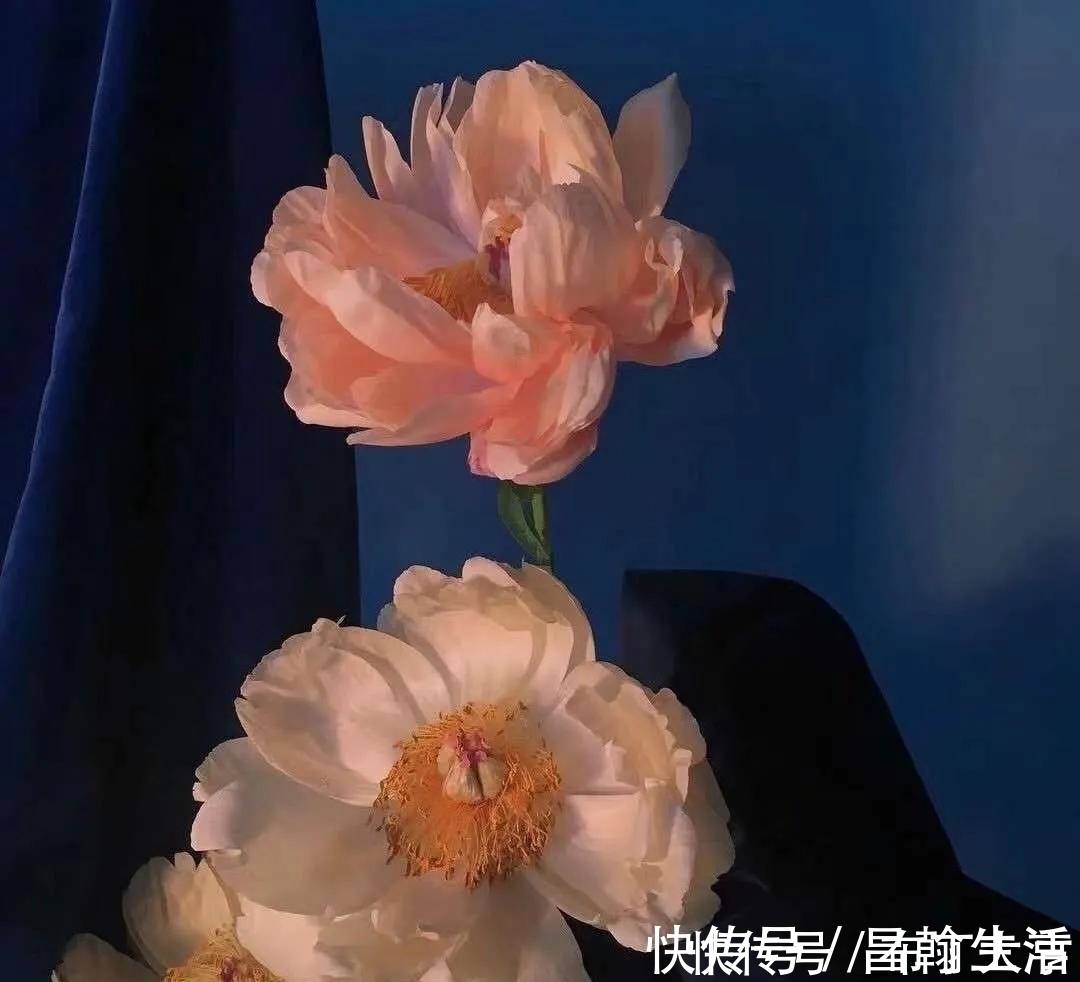 白羊座|不喜欢伪装的三个星座,没有人设,懒得假装