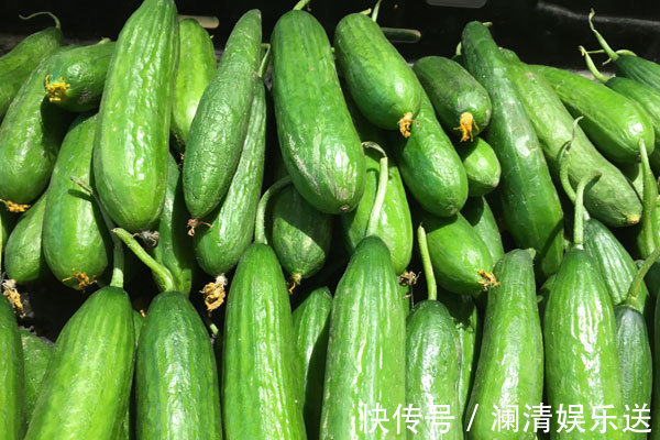 维生素e|45至60岁是女人养命期,多吃5物抗衰老,让你变年轻