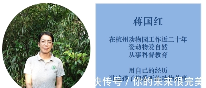 鱷魚|神奇動物在中國第二季·第5講|神奇“土龍”:我很丑但很溫柔