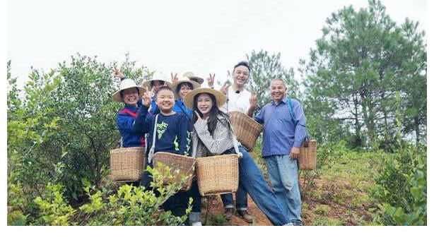 《云上的小店》助力乡村振兴 首播口碑零差评