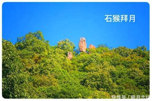 被誉为“东北之宝”的大公园，门票40游客不断，被取消四A评价