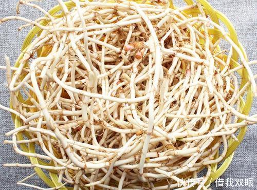 没事|尿酸的“死对头”已找到,没事喝两口,平衡尿酸,痛风或向你投降