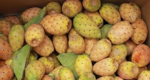 它被称作“稀有”新鲜水果,曾烂了也没有人吃,现60元一斤买不到
