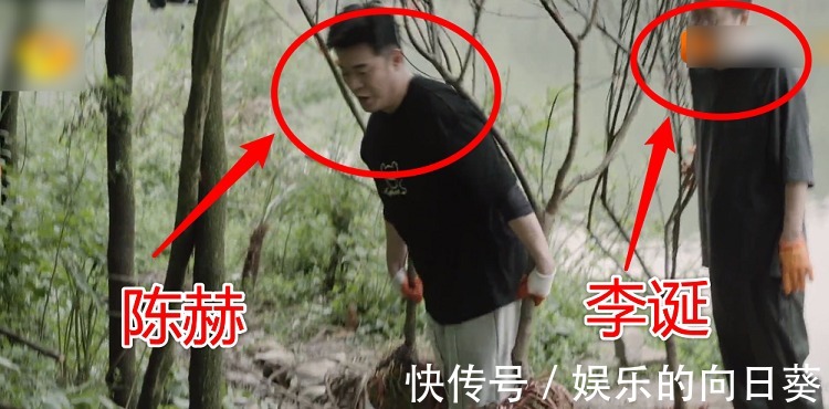 脾氣|《向往5》最懶嘉賓又來了,在節目種樹種到“吐”,脾氣都上來了