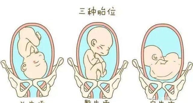 孕肚|准妈妈肚子何时“偷偷”变大的孕期是否显怀,跟4个因素有关