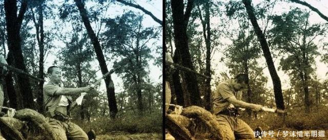 自尽|日本侵华元帅战败不想自尽，妻子嘲讽你究竟想什么时候死