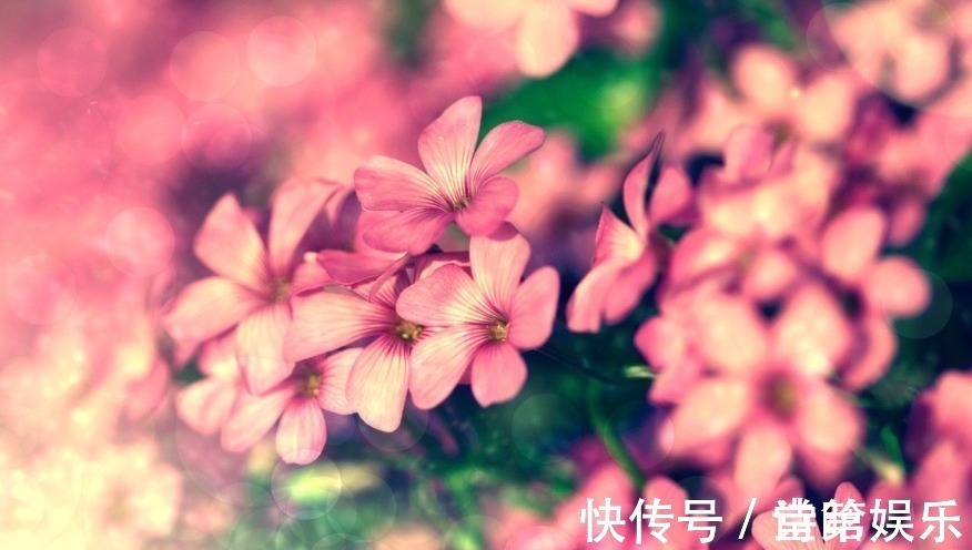 老公|永远不会被抛弃的三大生肖女,年纪越大老公越宠爱,被老公捧手心