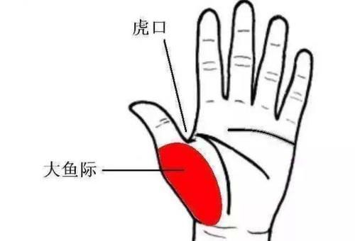 大鱼际|手上大鱼际出现这4种变化,可能是身体出问题了,别忽视!