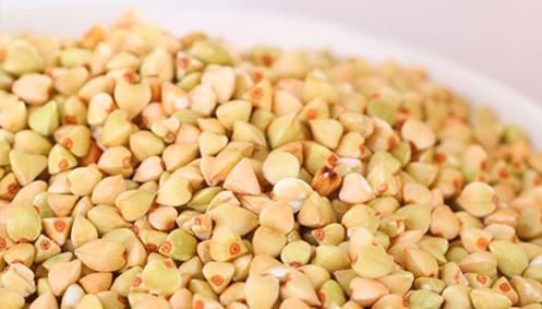 荞麦|甘油三酯超标常见2种植物煮水喝,降甘油三酯,无高血脂