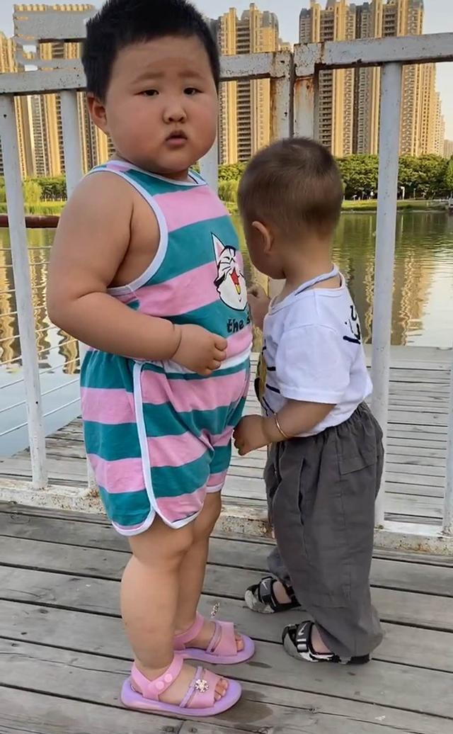 孩子|两个同龄宝宝相遇,体型差距让宝妈难以置信,网友完全是S和L