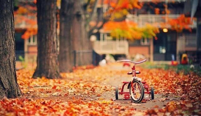 故乡&杜牧最有诗意思乡诗,中间20字乃孤独名句,得以入选唐诗三百首