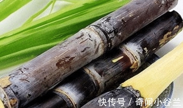 榴莲|体重过百的女生不要吃的五种水果了, 尤其是第一个!