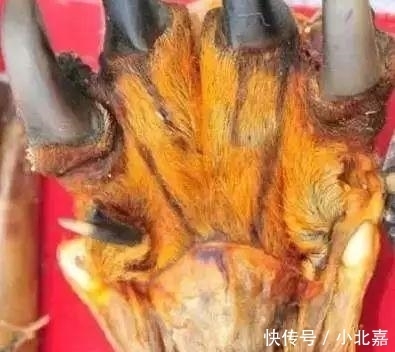 文玩界|"文玩市场上看到这几个摊位,千万不要靠近"