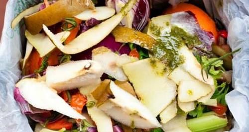 冬末春初，在家自制营养土该怎么操作？收集哪些材料？