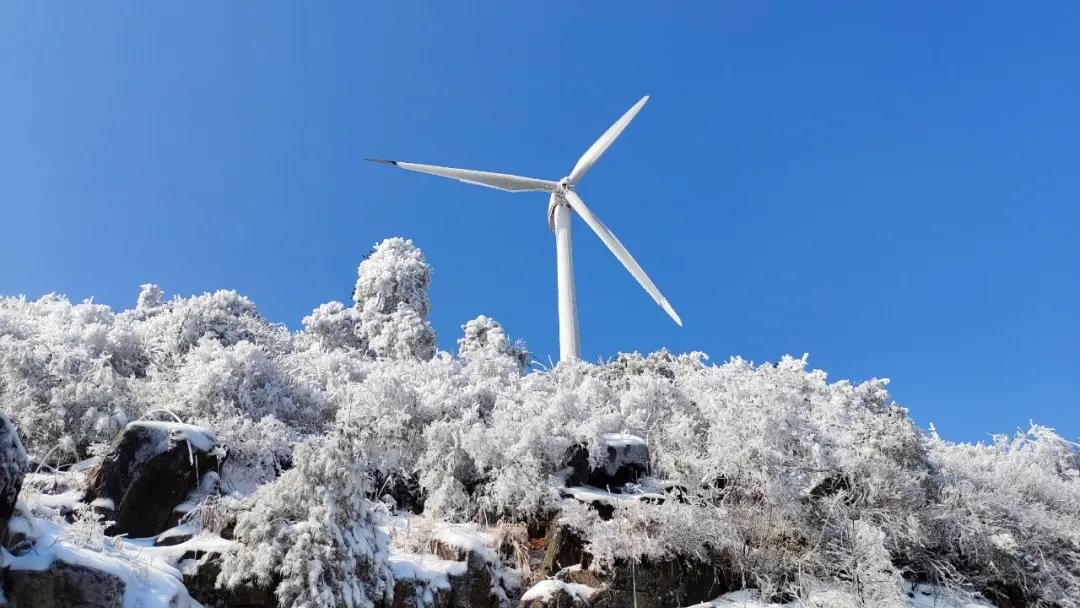 雾凇|绝了！天台冬季美景，宛如冰雪世界！一天看8小时都不够!