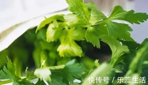 多酚类化合物|适合女性吃的3种食物,排毒养颜、延缓衰老,早吃早健康!