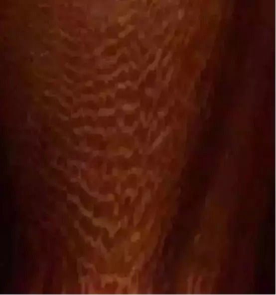 不止|冒充海黄的玩意儿,可不止紫檀柳!