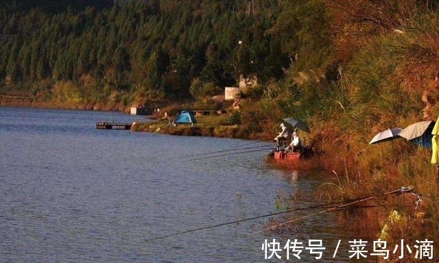 大坝|弄清水底地形，鱼道其实并不难找，找对爆护也真的不难