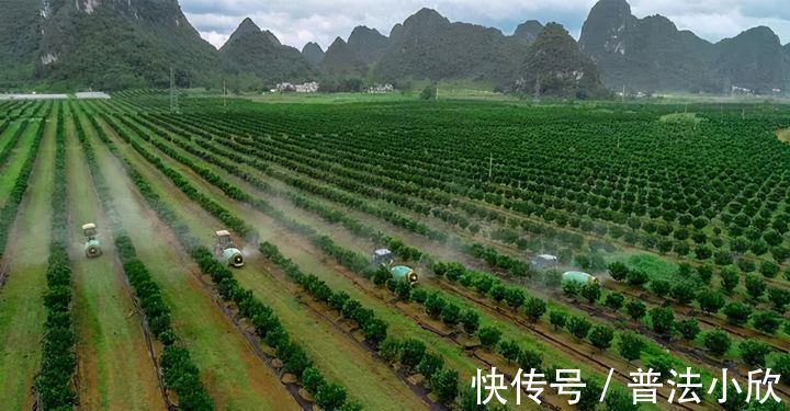 祖宅|谁说没证就不给补偿!