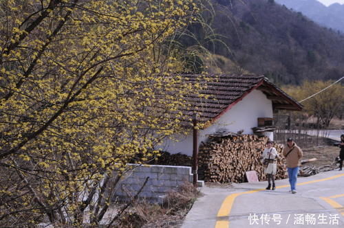 古道|探寻秦岭深处三市县交界处村子，没有几户人家，却曾是古道重镇