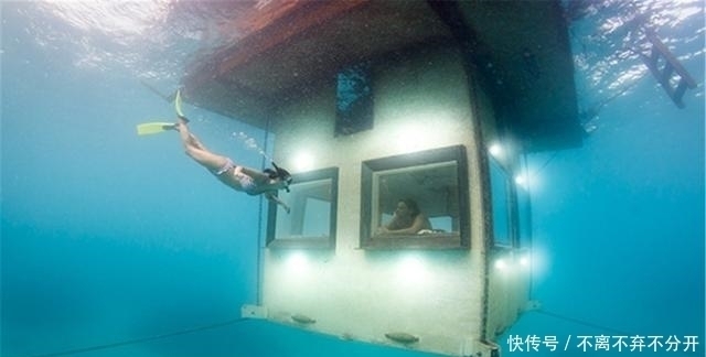 非洲最浪漫酒店,在水里看着鱼睡觉,一个晚上就得10000块