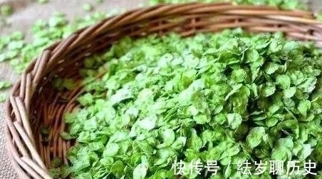 野菜|春天，这4种野菜记得吃，营养高口感好，错过了来年才能吃到