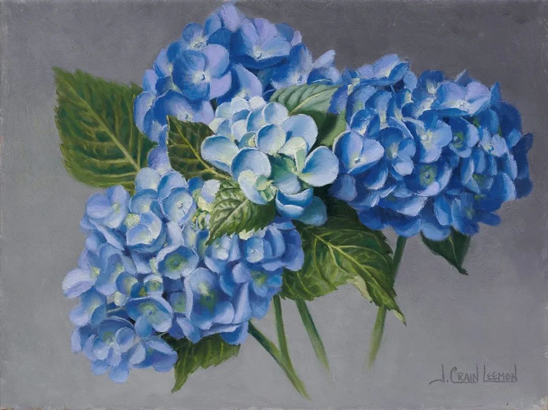 花卉|这位美国女艺术家笔下的花卉,魅力色彩,栩栩如生!