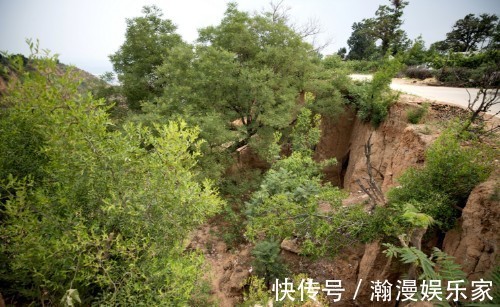 黄河&八旬夫妇住蟠桃园里，黄河就从眼前过，蟠桃熟时喊路人随便摘着吃