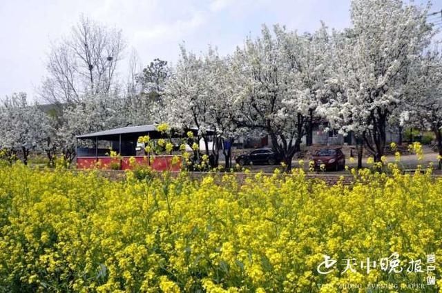 山清水秀 桃红柳绿 无限春光风景这边独好