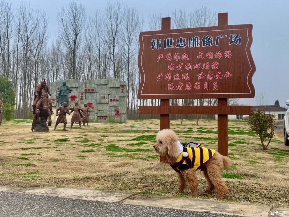 老年|打卡黄天荡湿地：古战场的遗址