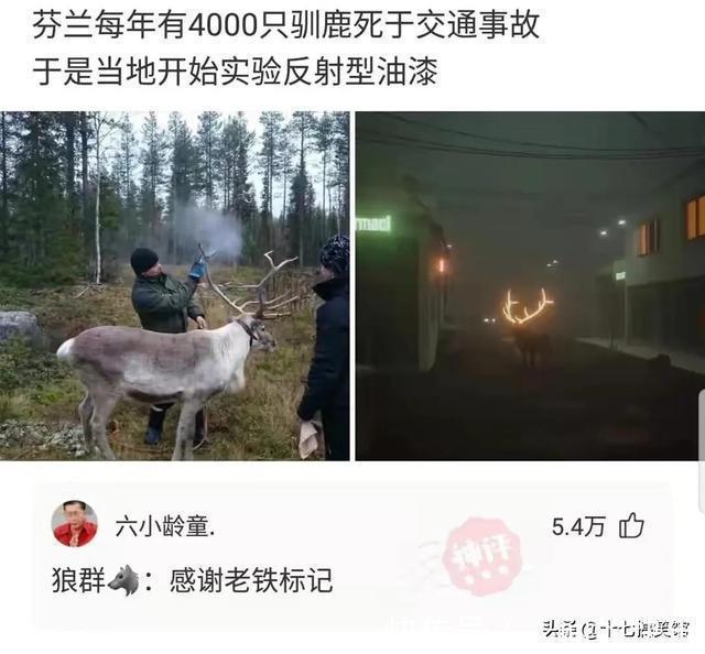 |搞笑合集:这是我的两位表弟,为人方正圆滑,想看看你们的表弟