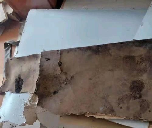 涂刷|入住不到半年衣柜内就充满霉味,扒开一看,为什么没人提醒我注意