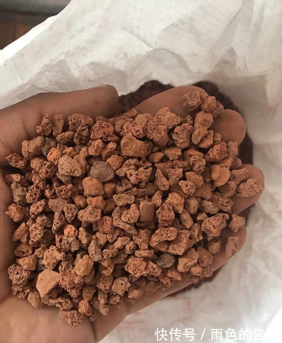 养多肉必备营养土，6种土，多肉常用，了解作用以及使用方式