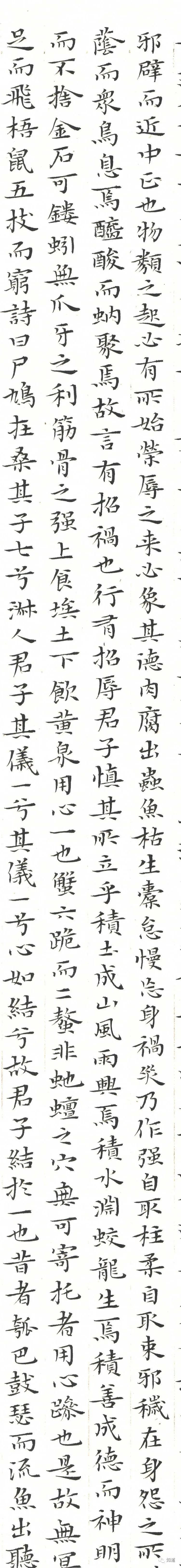  劝学篇|知道书画｜杨文彪 庚子年新作《劝学篇》