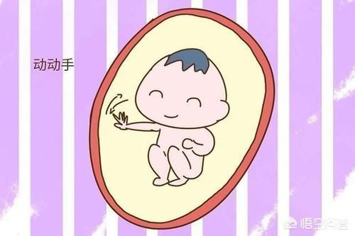 血糖升高|孕6个月,坐着吃饭总感觉胎动,是压住宝宝了吗?