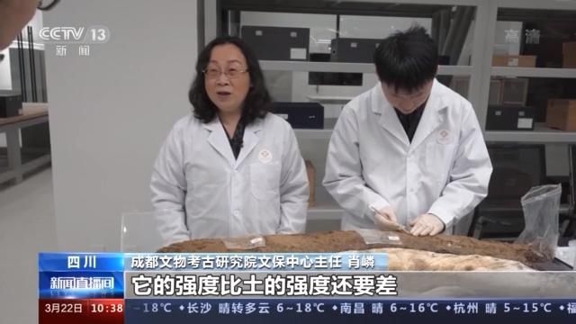 三星堆出土象牙如何保存？高分子材料为其“敷上面膜”