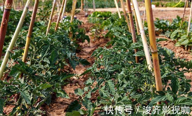 凶手|凶手竟藏家中15年,家中有的尽快扔掉,释放大量甲醛